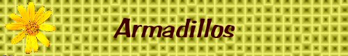 Armadillos